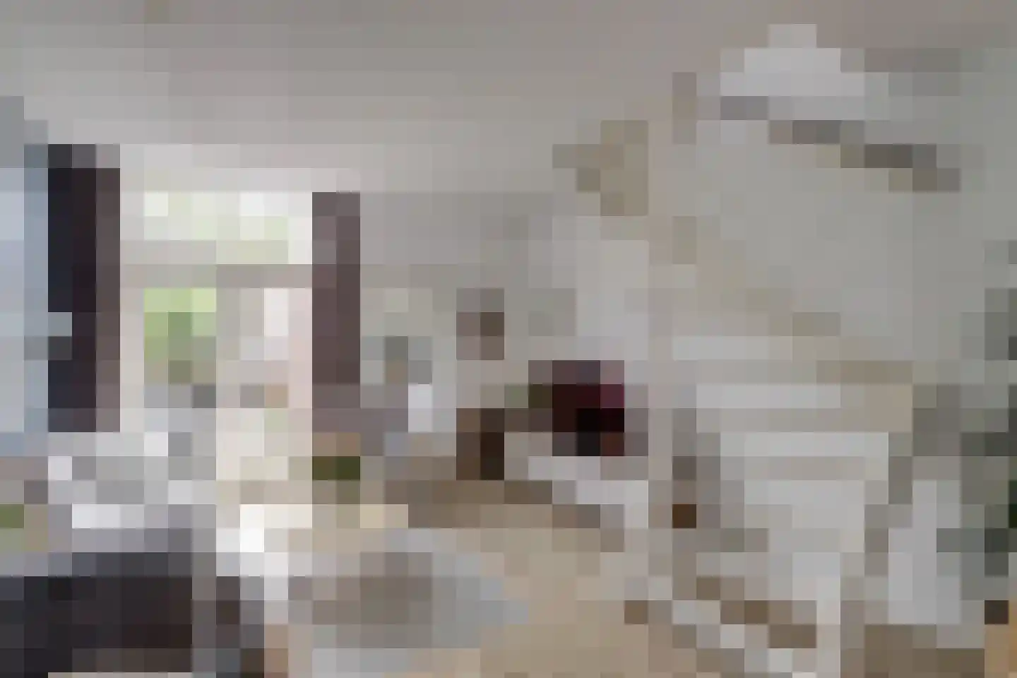 Papaverstraat 10 Utrecht thumbnail 8