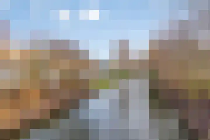 Papaverstraat 101 Purmerend thumbnail 38