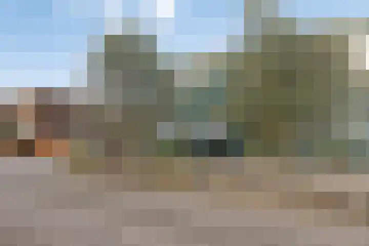Papaverstraat 101 Purmerend thumbnail 8