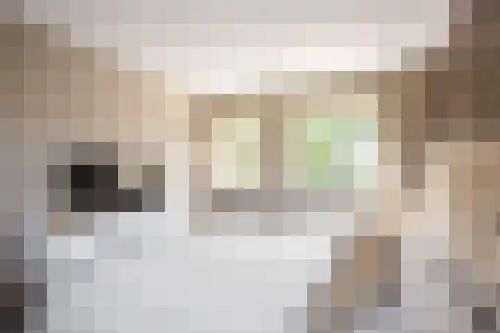 Papaverstraat 107 Purmerend thumbnail 24