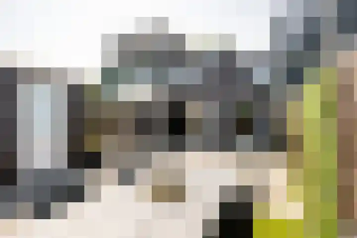 Papaverstraat 107 Purmerend thumbnail 41