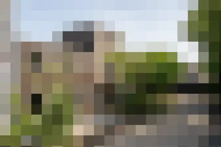 Papaverstraat 107 Purmerend thumbnail 47