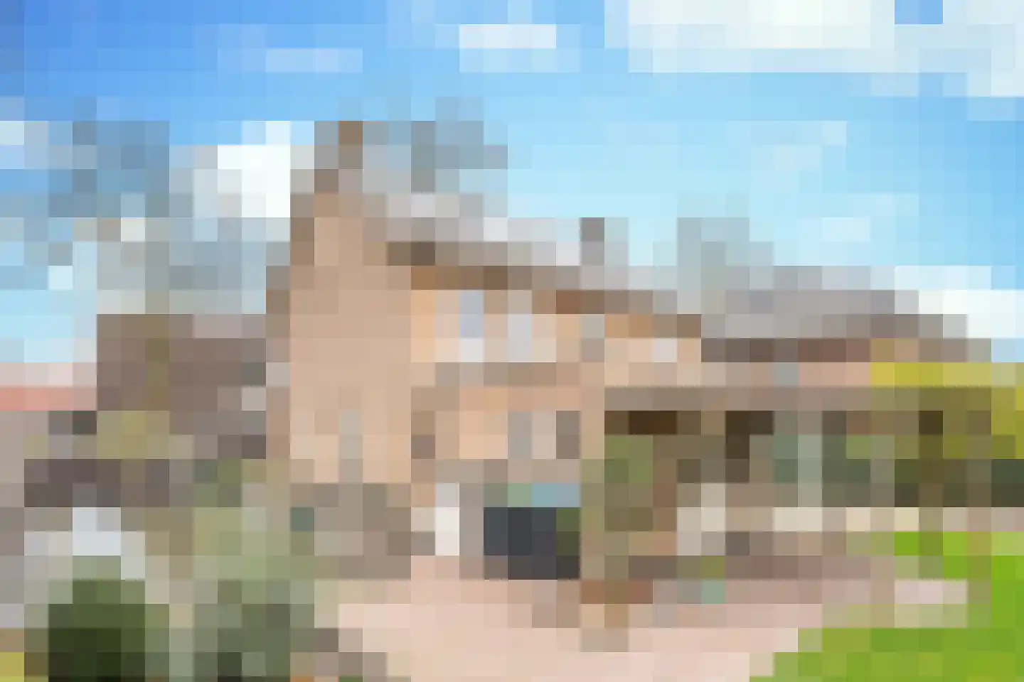 Papaverstraat 11 Odiliapeel thumbnail 11