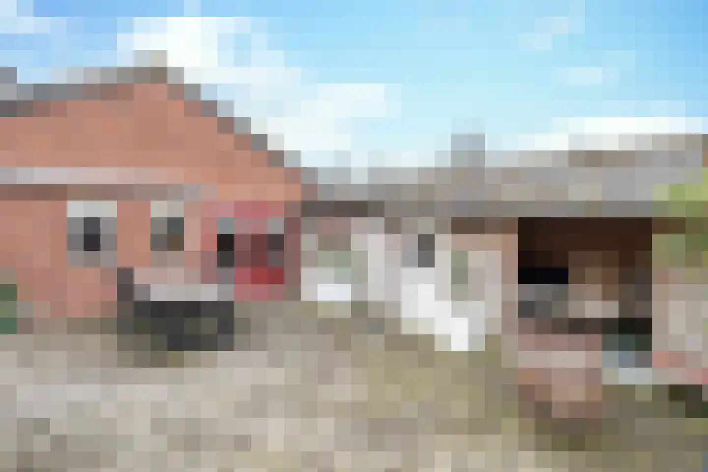 Papaverstraat 11 Odiliapeel thumbnail 13