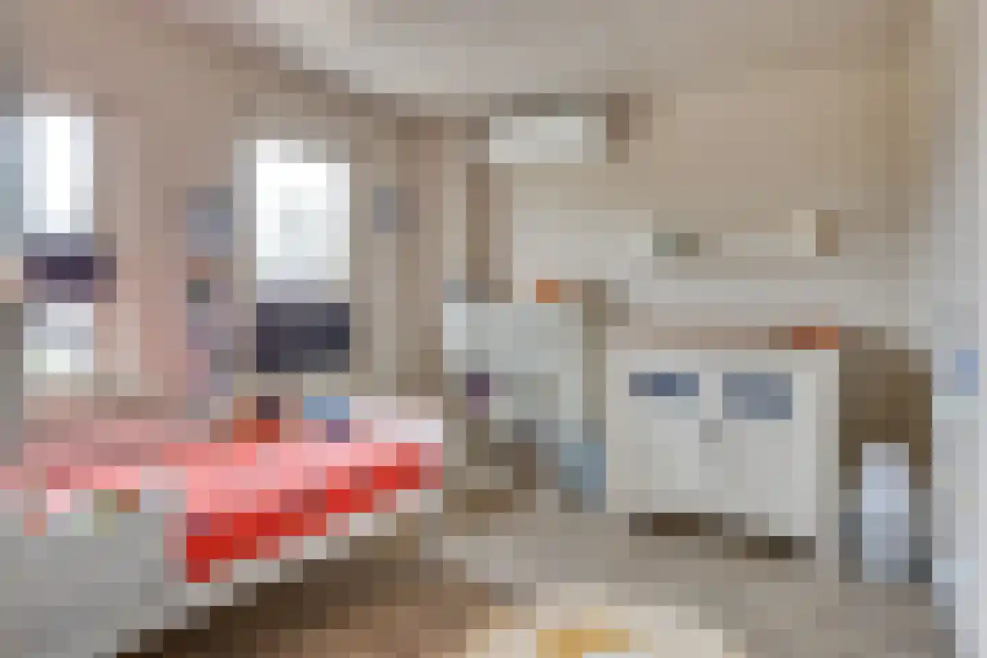 Papaverstraat 11 Odiliapeel thumbnail 30