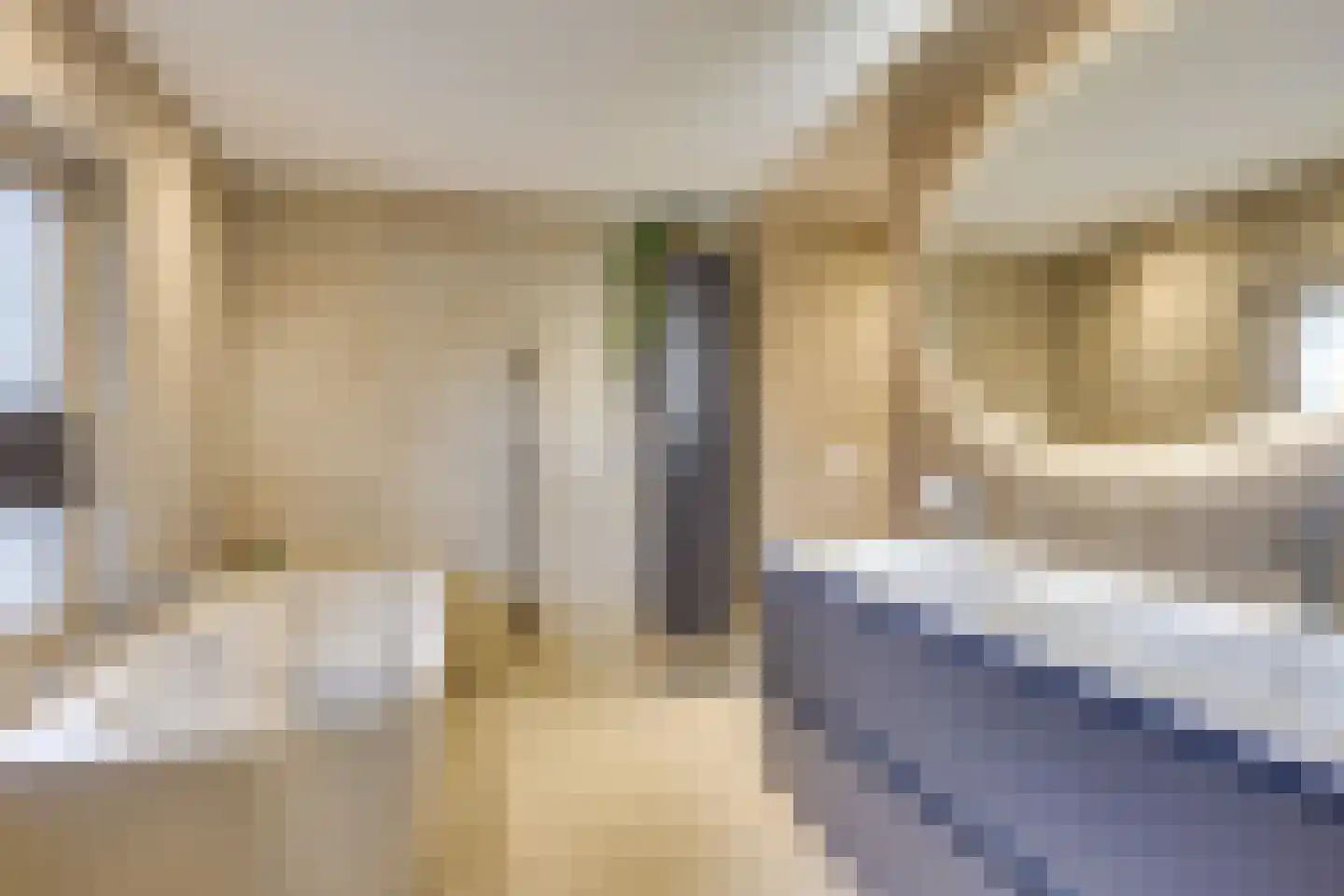 Papaverstraat 11 Odiliapeel thumbnail 32