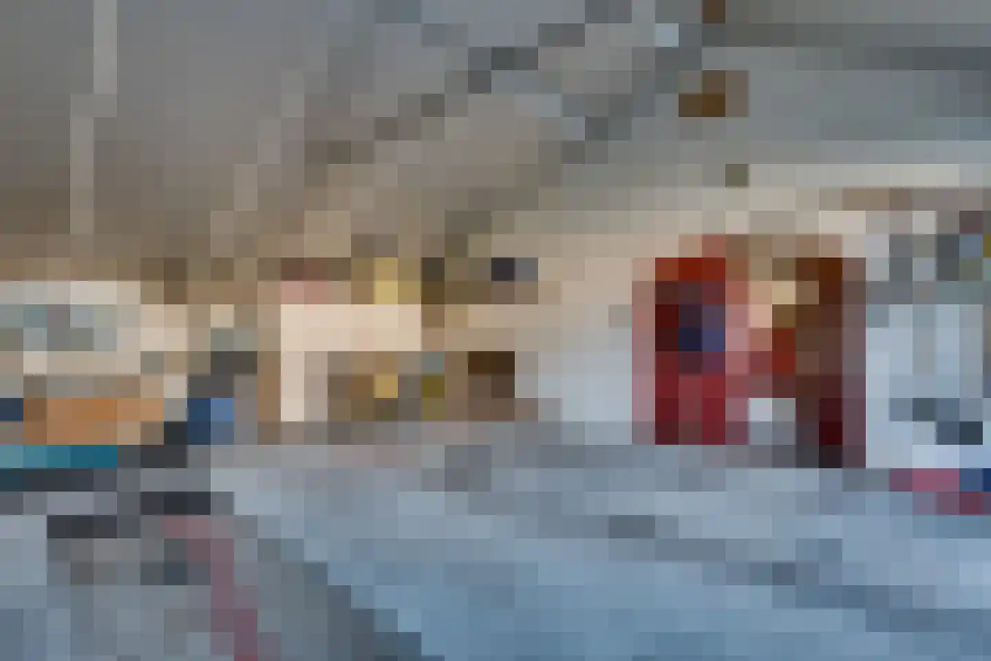 Papaverstraat 11 Odiliapeel thumbnail 38