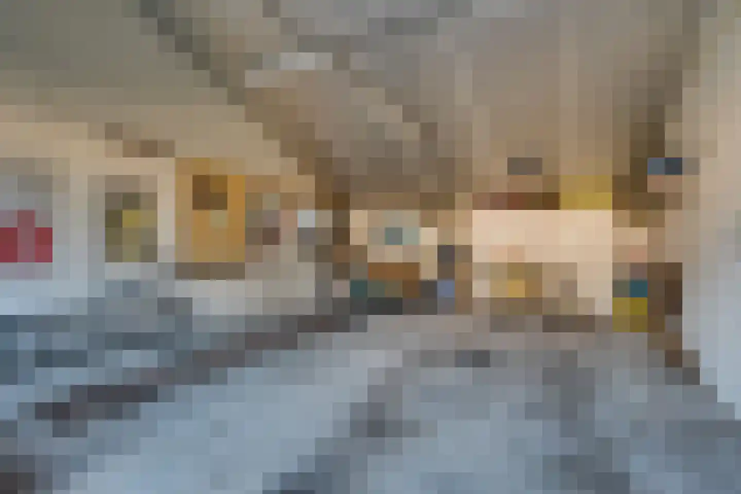 Papaverstraat 11 Odiliapeel thumbnail 39