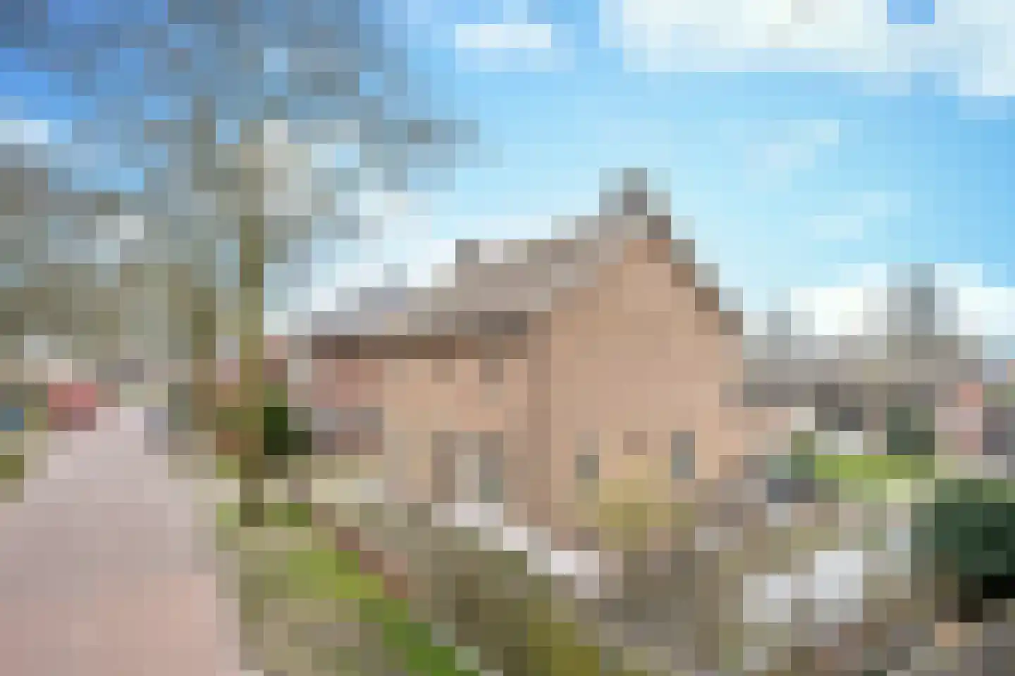 Papaverstraat 11 Odiliapeel thumbnail 4