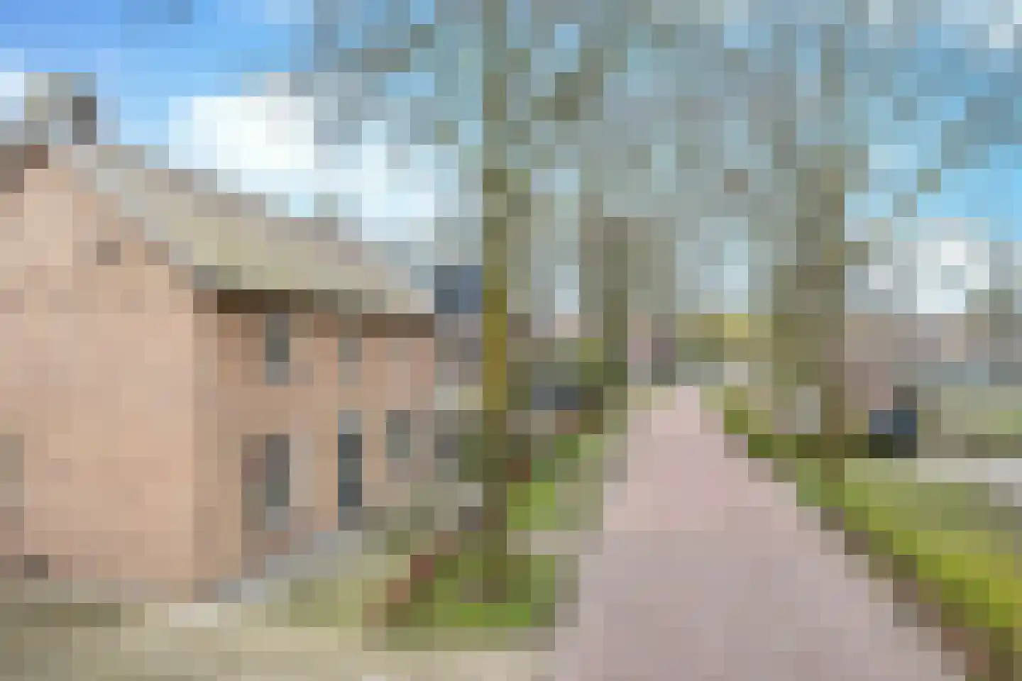 Papaverstraat 11 Odiliapeel thumbnail 5