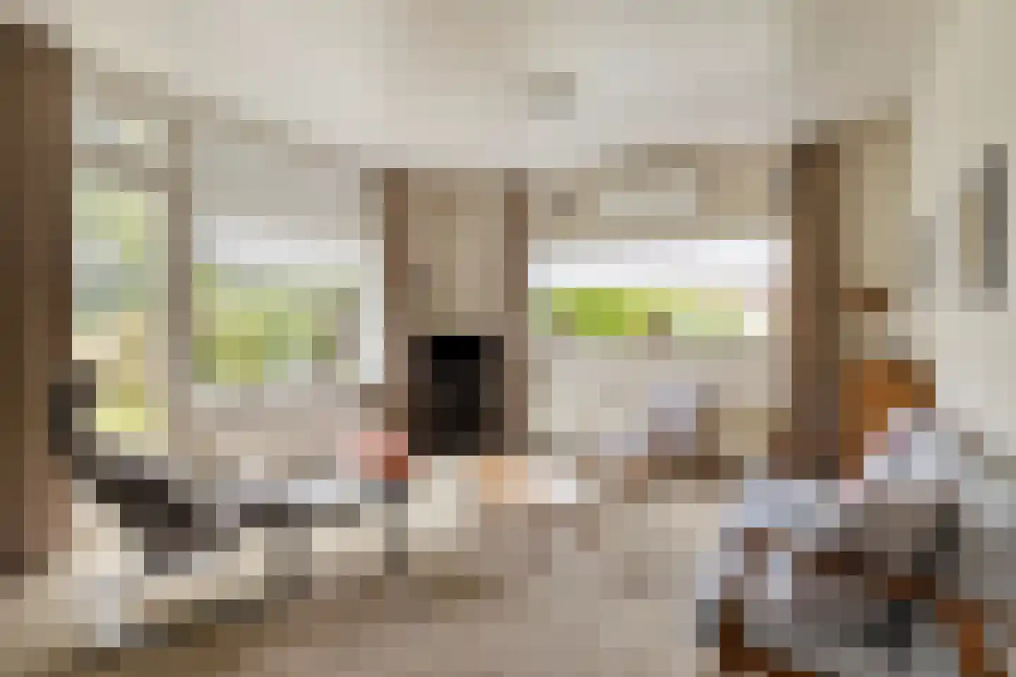 Papaverstraat 11 Zelhem thumbnail 25