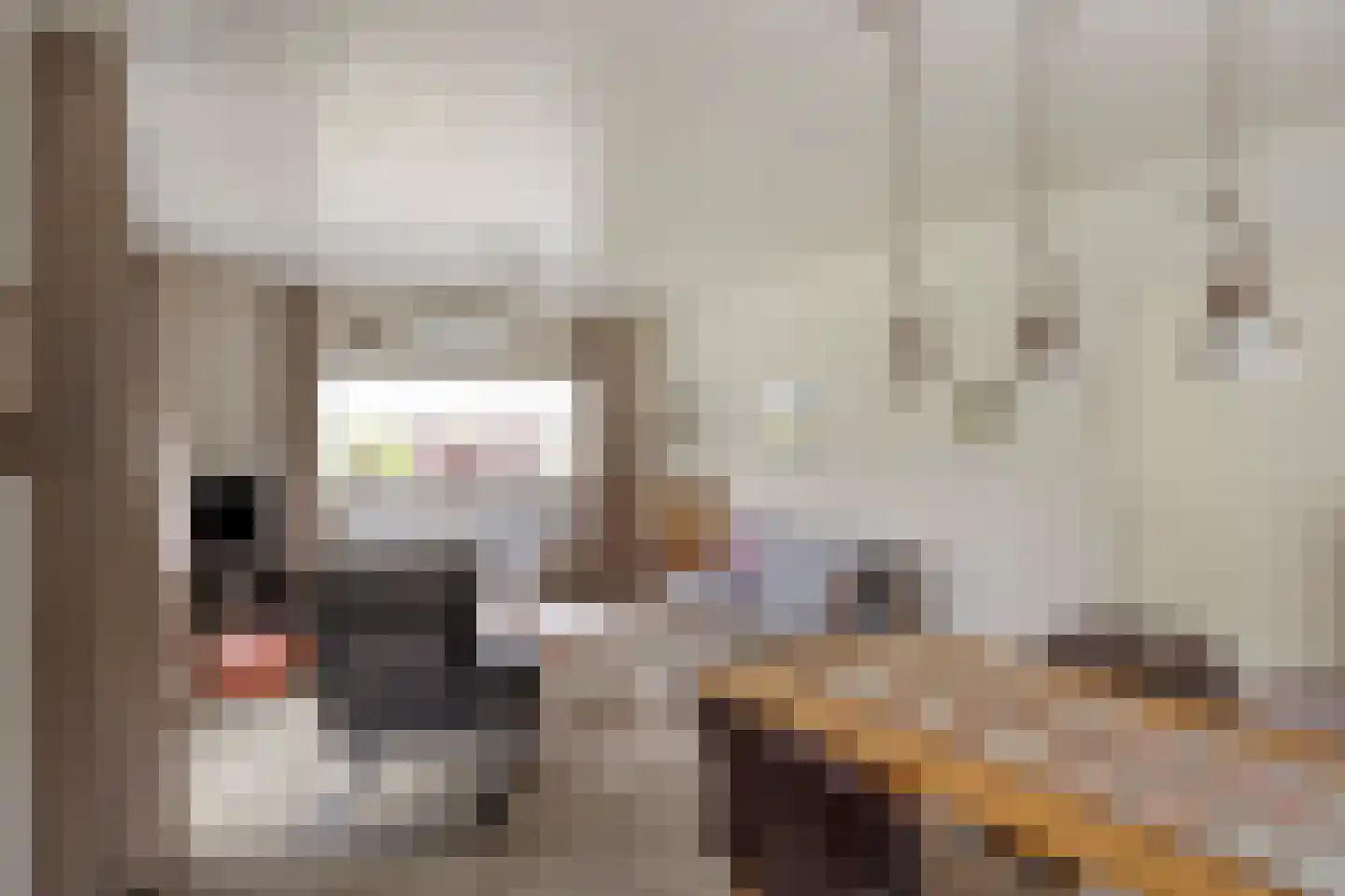 Papaverstraat 11 Zelhem thumbnail 29