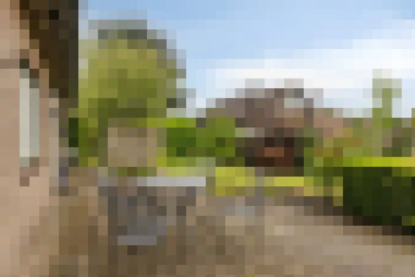 Papaverstraat 11 Zelhem thumbnail 34