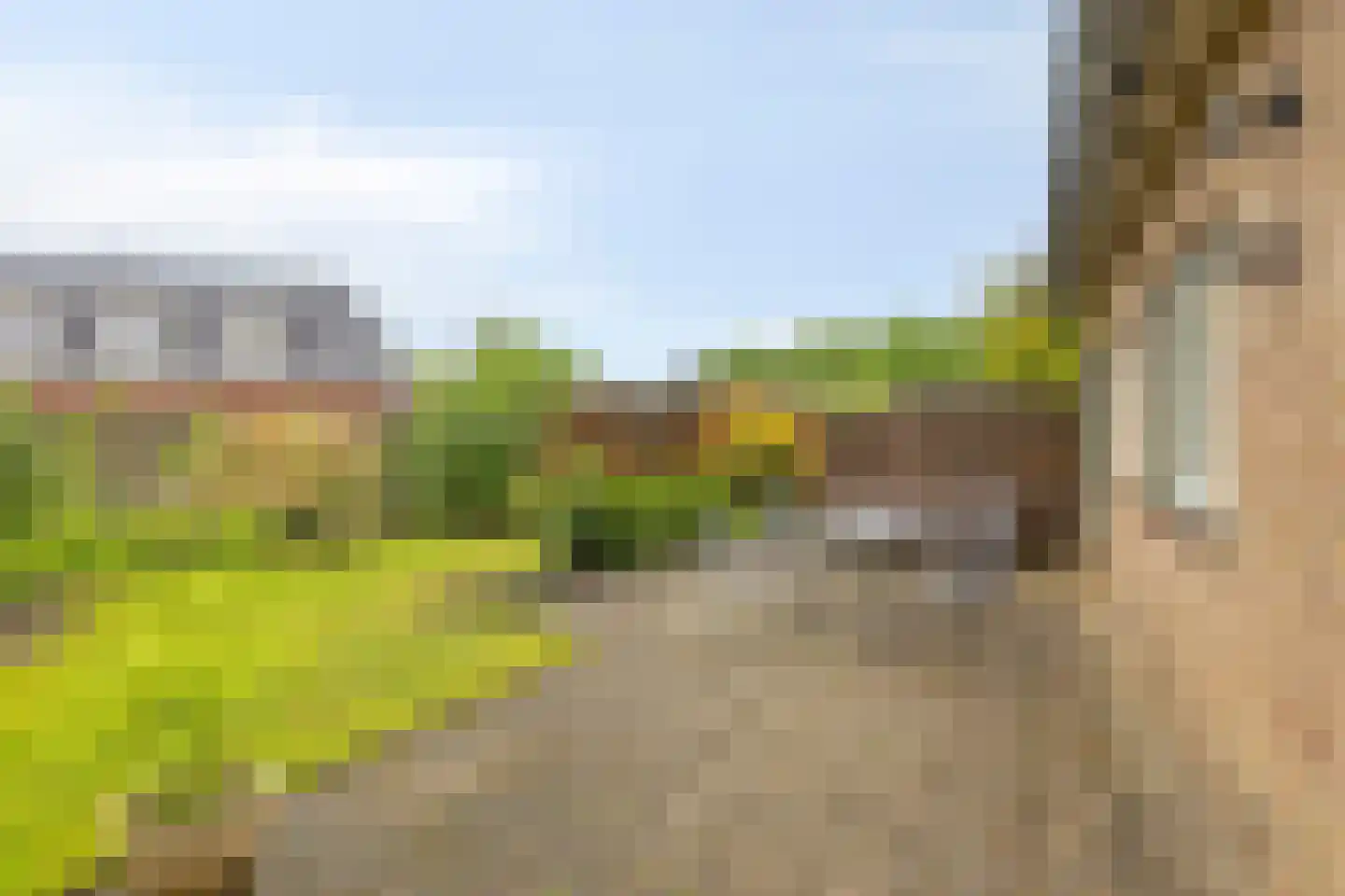 Papaverstraat 11 Zelhem thumbnail 35