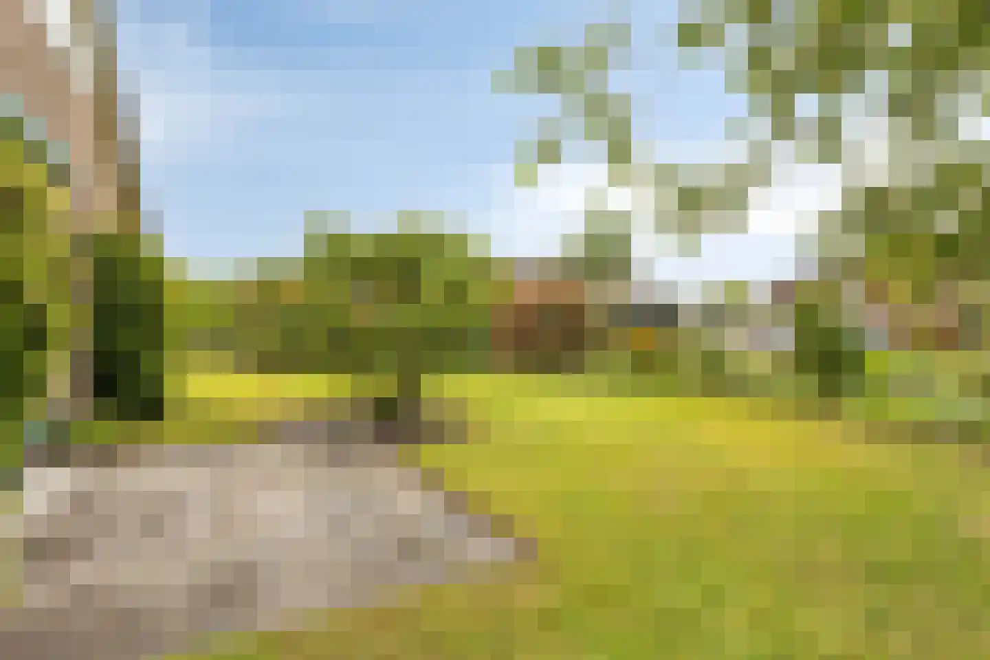 Papaverstraat 11 Zelhem thumbnail 36