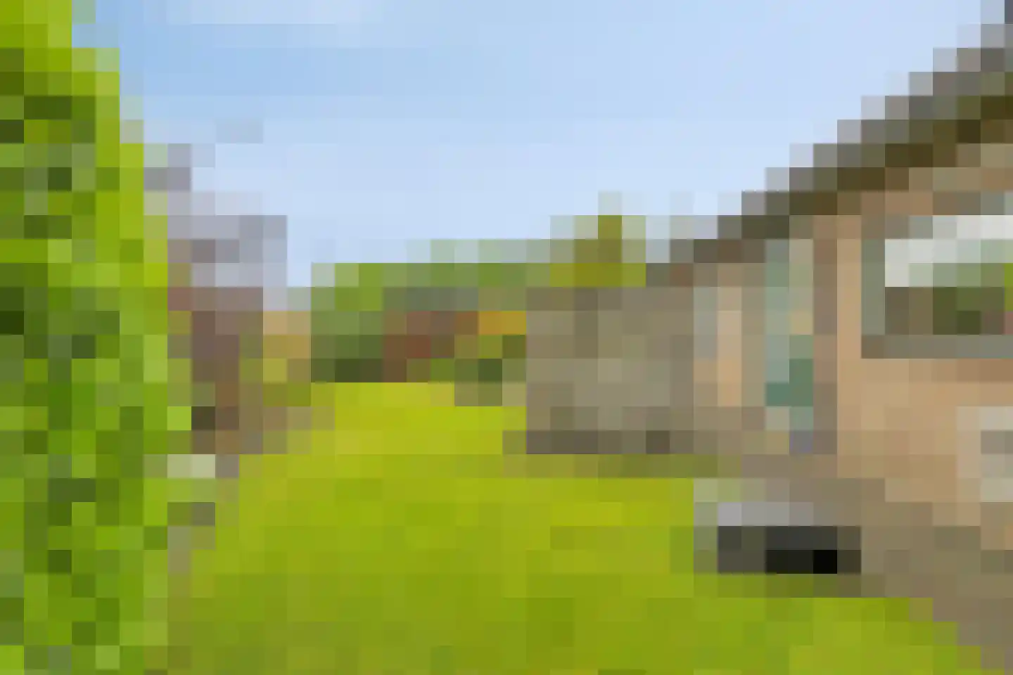 Papaverstraat 11 Zelhem thumbnail 37