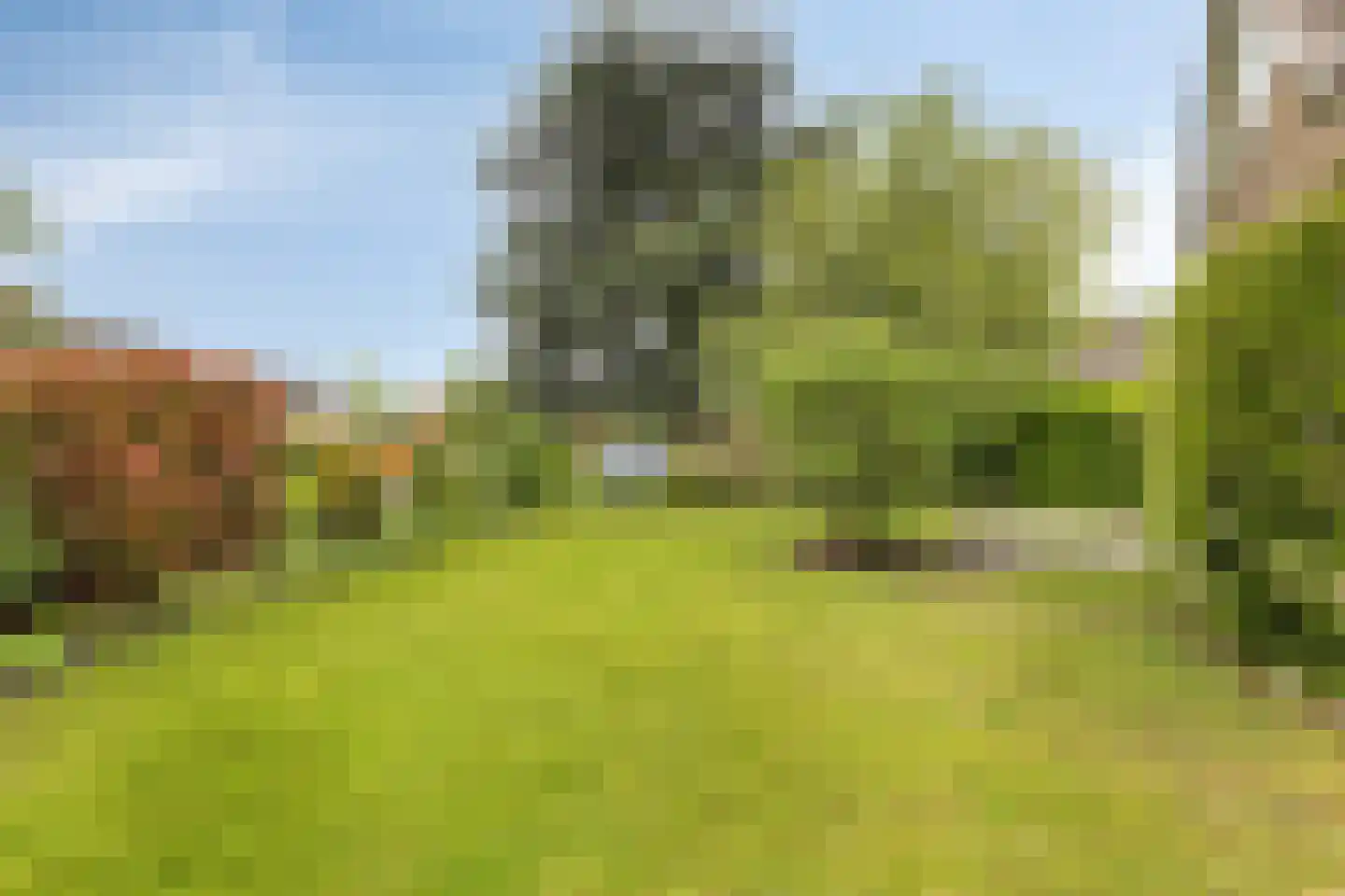 Papaverstraat 11 Zelhem thumbnail 38