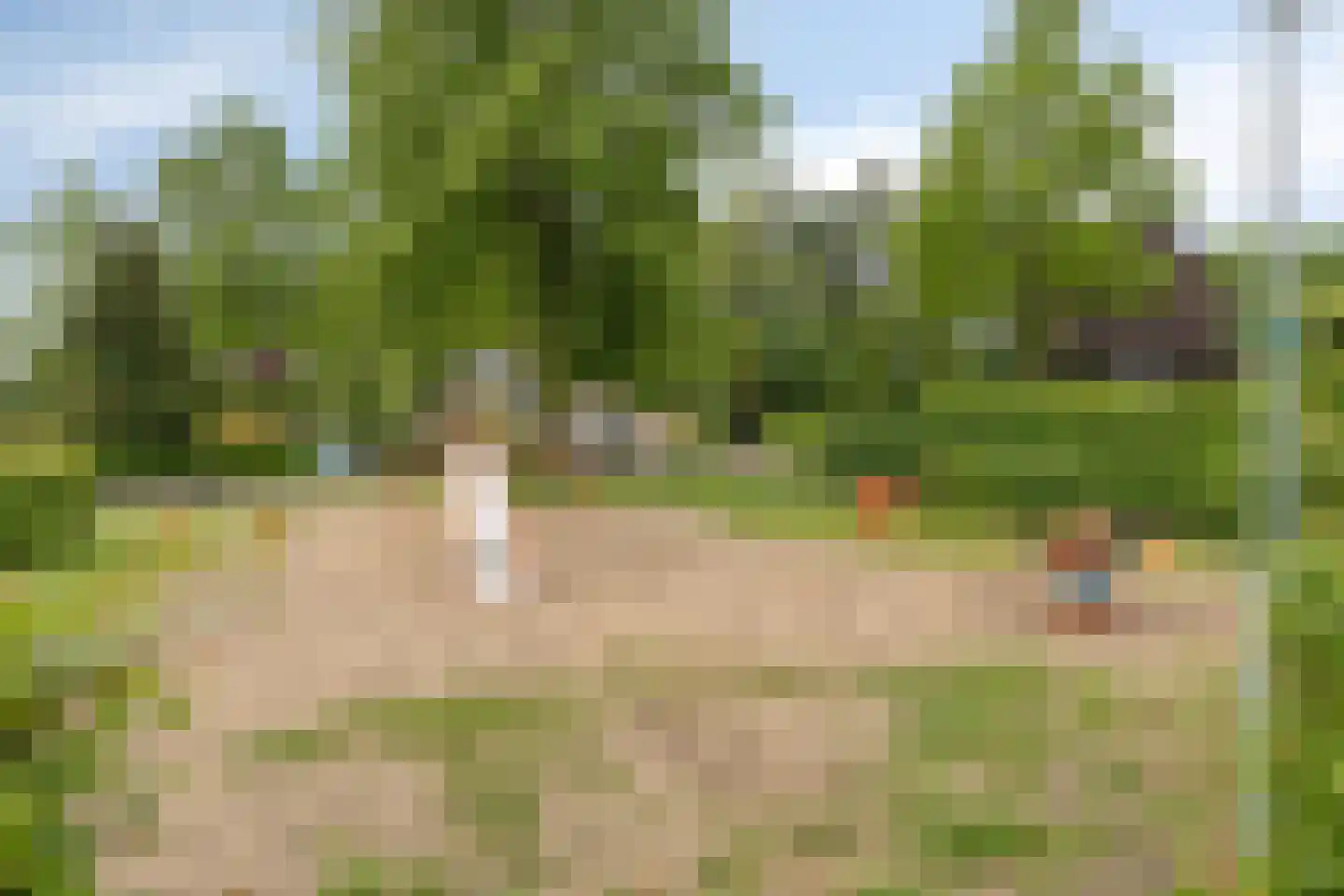 Papaverstraat 11 Zelhem thumbnail 39