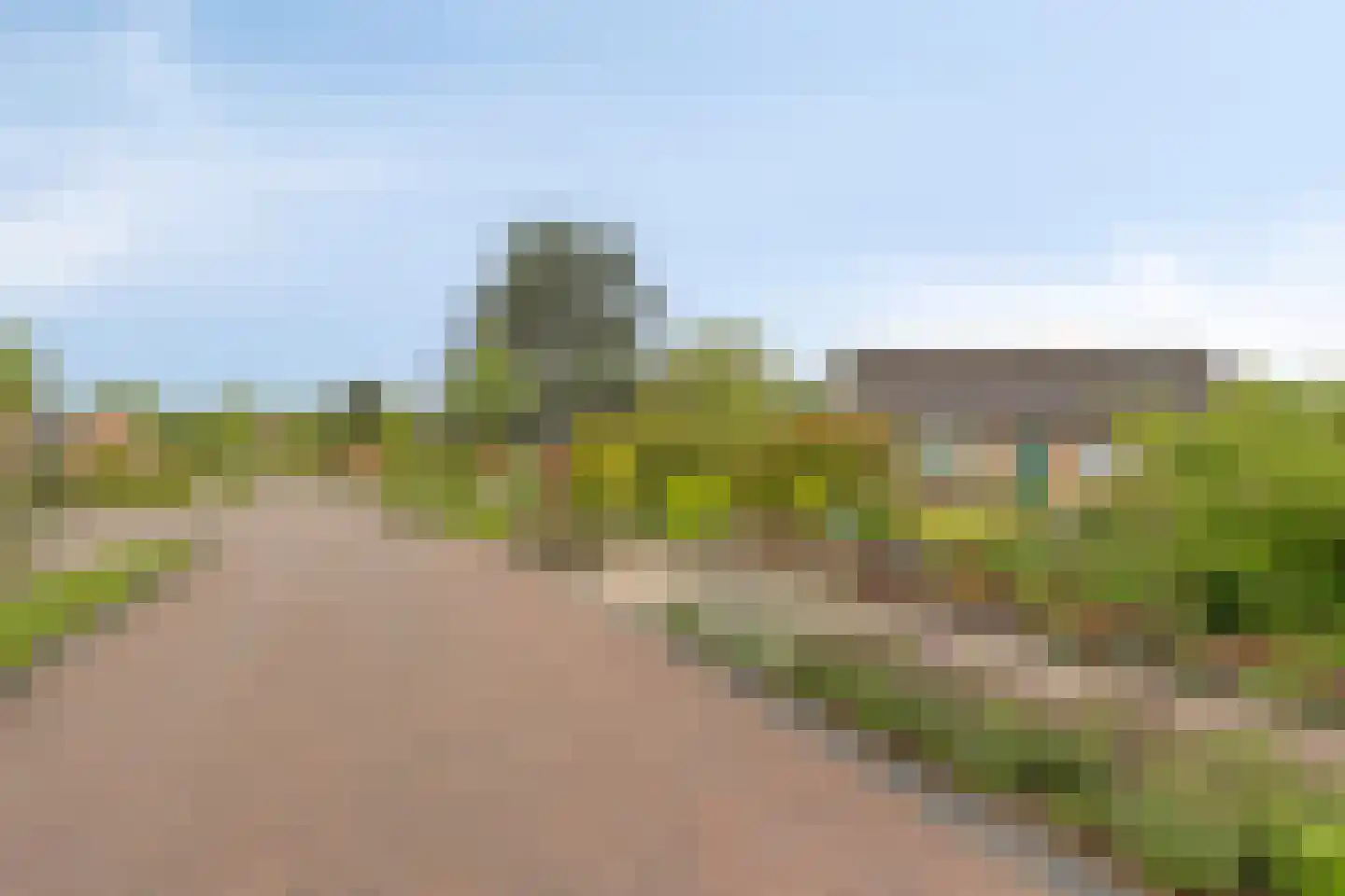 Papaverstraat 11 Zelhem thumbnail 4