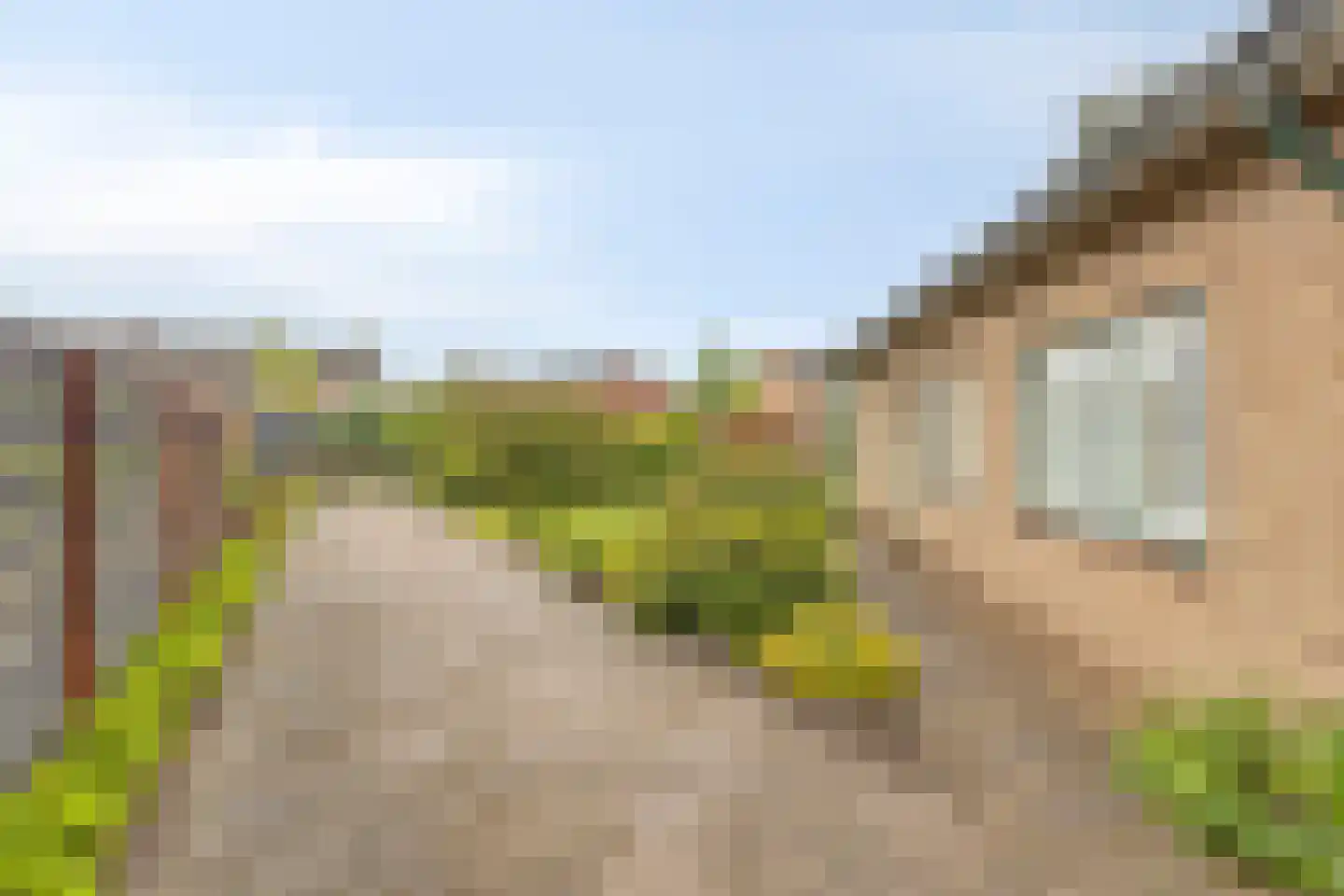Papaverstraat 11 Zelhem thumbnail 6