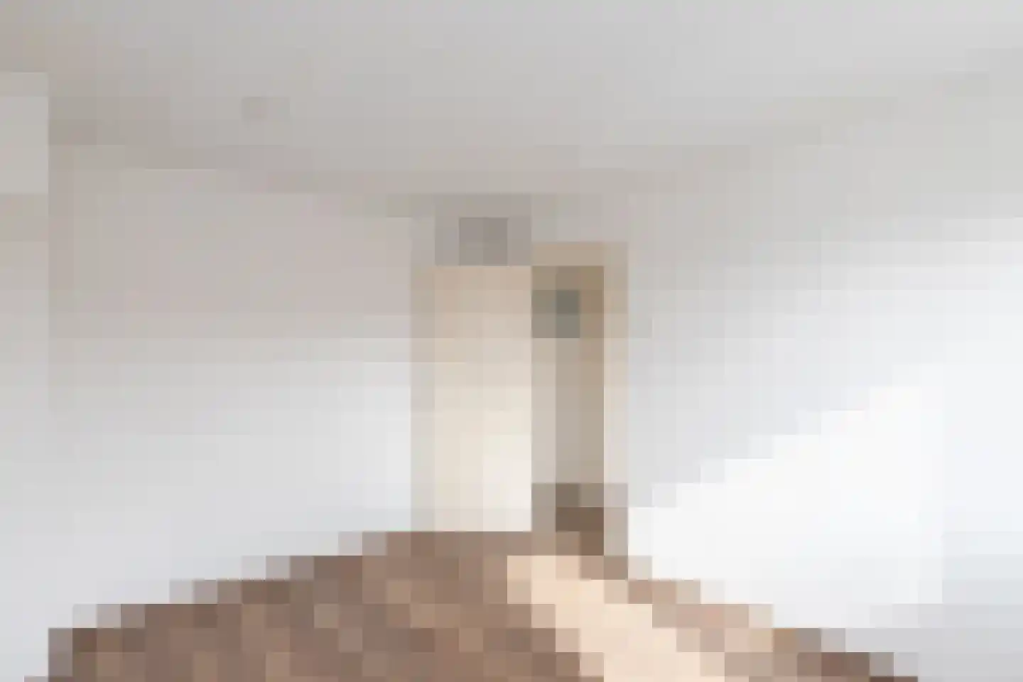 Papaverstraat 12 Alblasserdam thumbnail 13