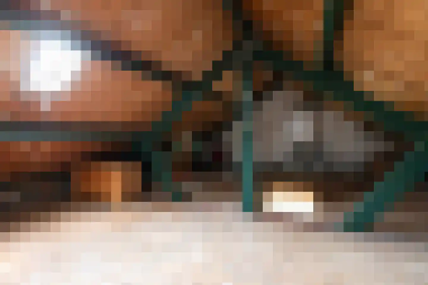 Papaverstraat 12 Alblasserdam thumbnail 18