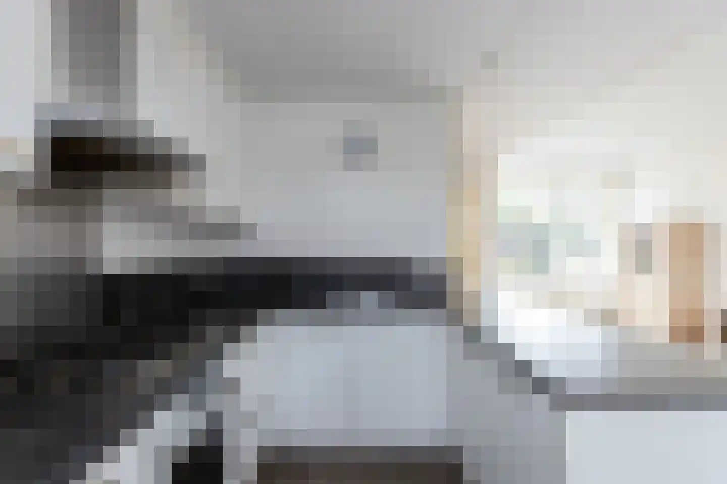 Papaverstraat 12 Alblasserdam thumbnail 4