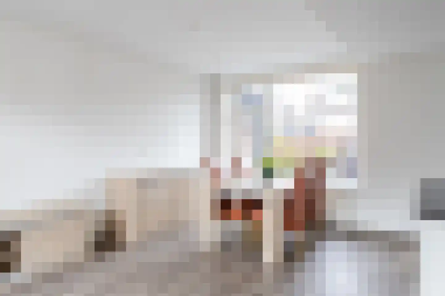 Papaverstraat 12 Alblasserdam thumbnail 8