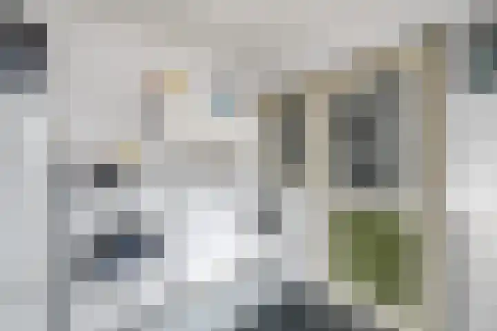 Papaverstraat 12 Oudeschoot thumbnail 12