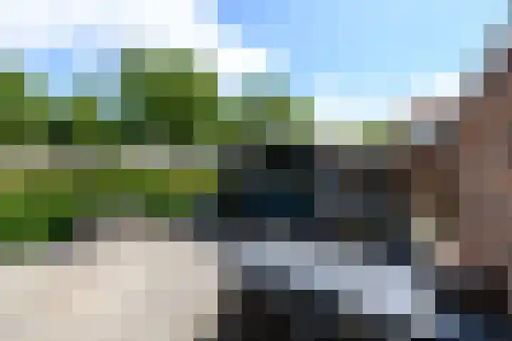 Papaverstraat 12 Oudeschoot thumbnail 27