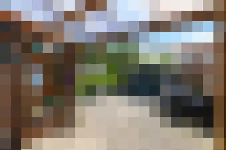 Papaverstraat 12 Oudeschoot thumbnail 29