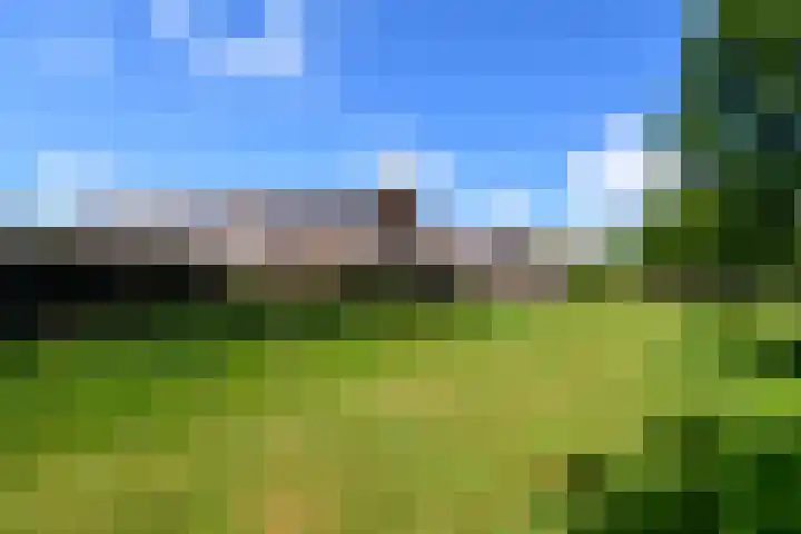 Papaverstraat 12 Oudeschoot thumbnail 30