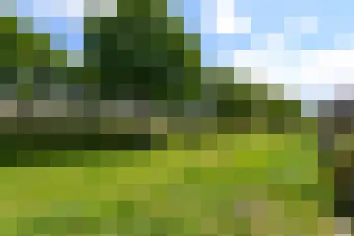 Papaverstraat 12 Oudeschoot thumbnail 31