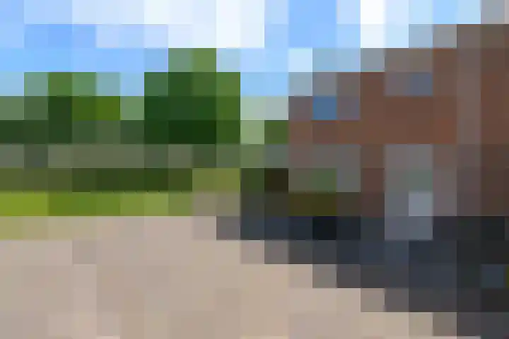 Papaverstraat 12 Oudeschoot thumbnail 34