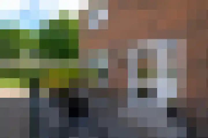 Papaverstraat 12 Oudeschoot thumbnail 35