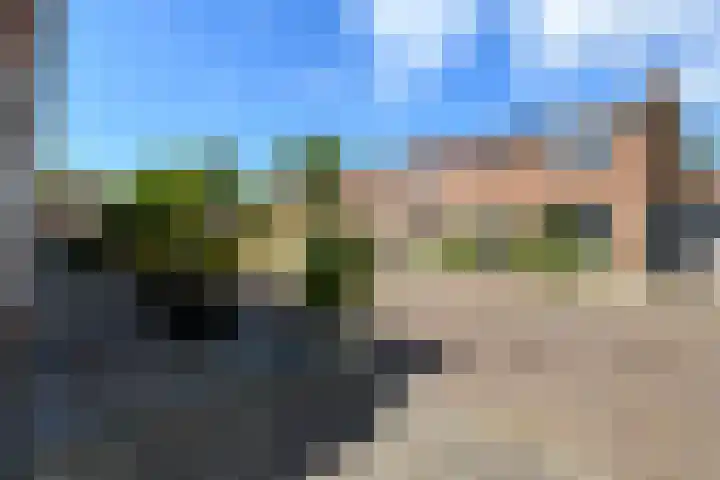 Papaverstraat 12 Oudeschoot thumbnail 36