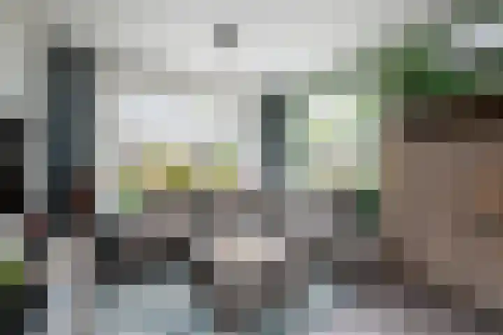 Papaverstraat 12 Oudeschoot thumbnail 4