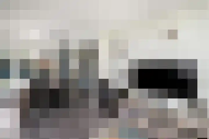 Papaverstraat 12 Oudeschoot thumbnail 5