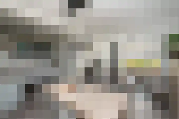 Papaverstraat 12 Oudeschoot thumbnail 7