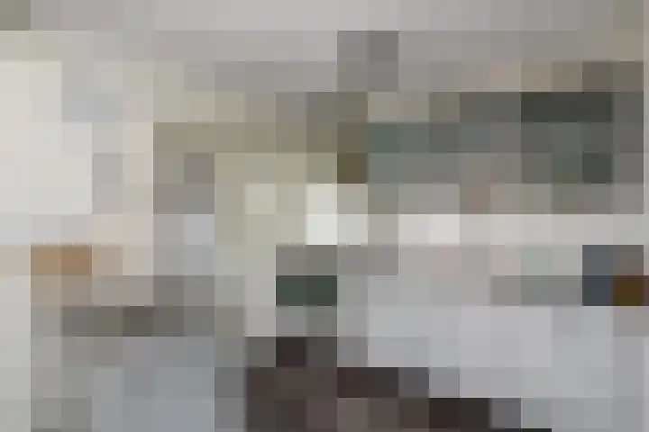 Papaverstraat 12 Oudeschoot thumbnail 9