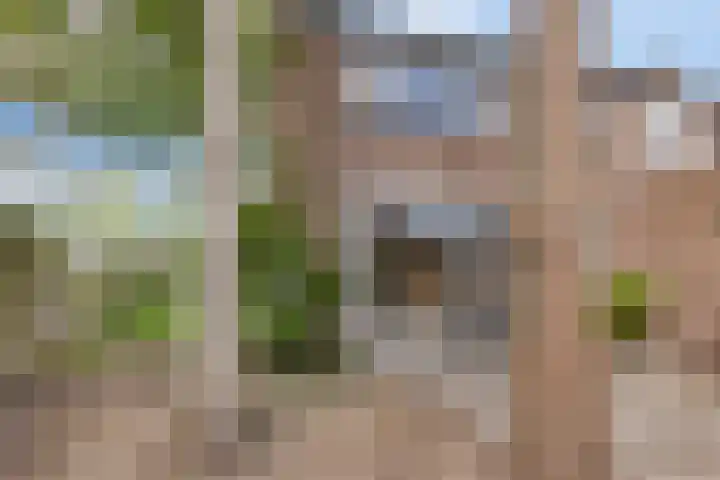 Papaverstraat 12 Zelhem thumbnail 27