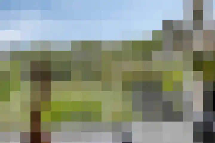Papaverstraat 12 Zelhem thumbnail 5