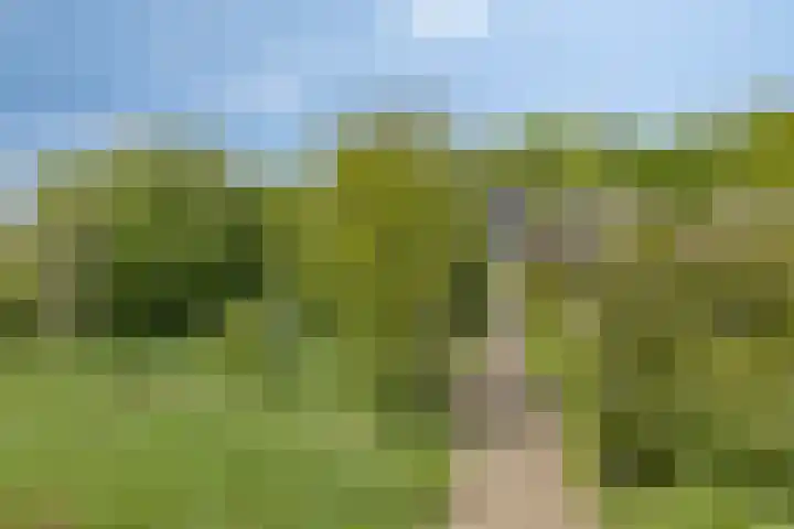 Papaverstraat 12 Zelhem thumbnail 7