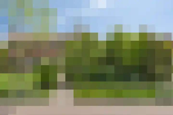 Papaverstraat 12 Zelhem thumbnail 8