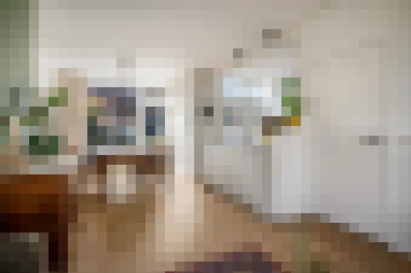 Papaverstraat 14 Rhenen thumbnail 10