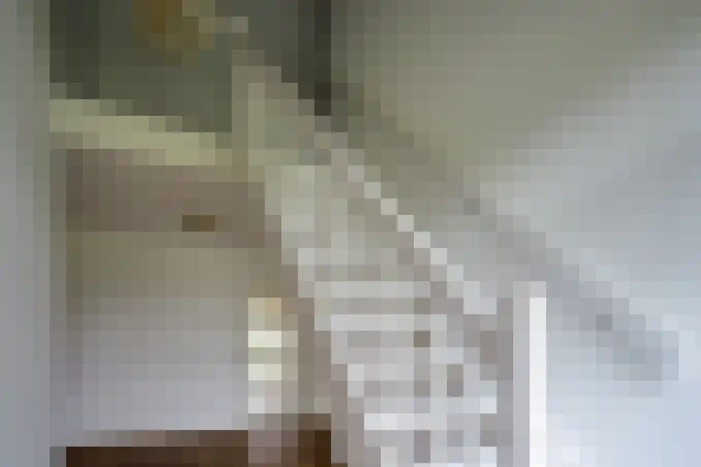 Papaverstraat 16 Vries thumbnail 29