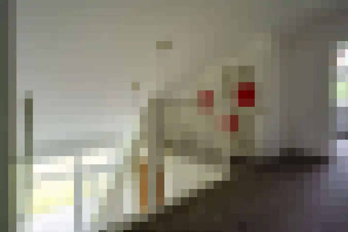Papaverstraat 16 Vries thumbnail 30