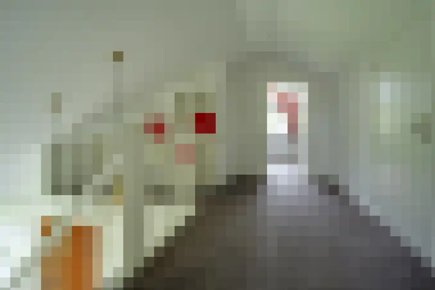 Papaverstraat 16 Vries thumbnail 31