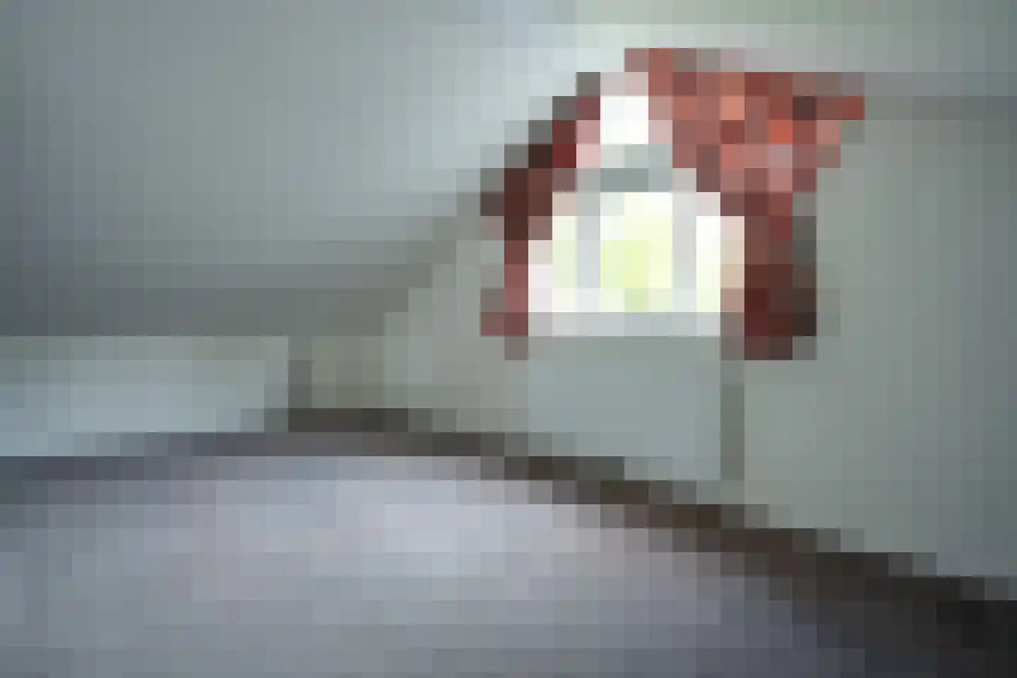 Papaverstraat 16 Vries thumbnail 33