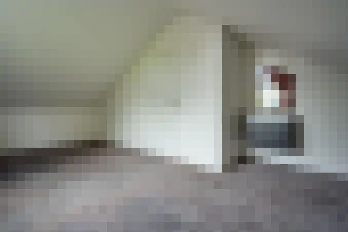 Papaverstraat 16 Vries thumbnail 34